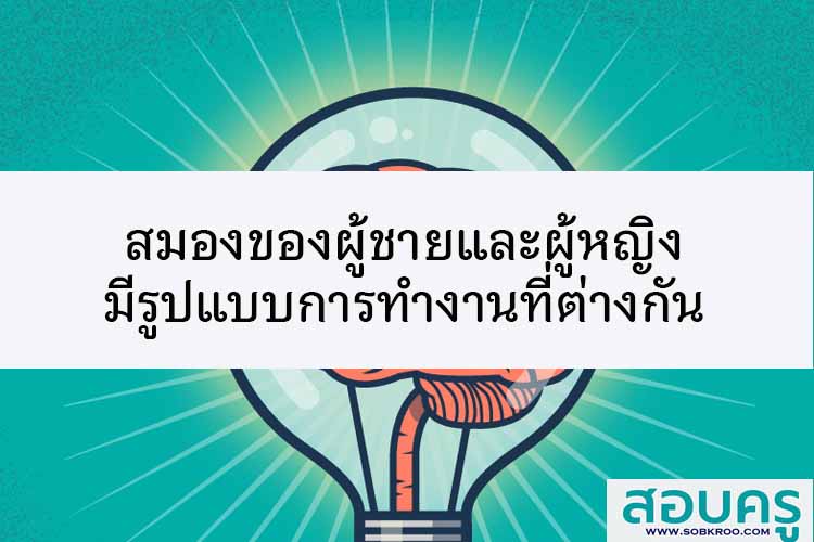 สมองของผู้ชายและผู้หญิงมีรูปแบบการทำงานที่ต่างกัน