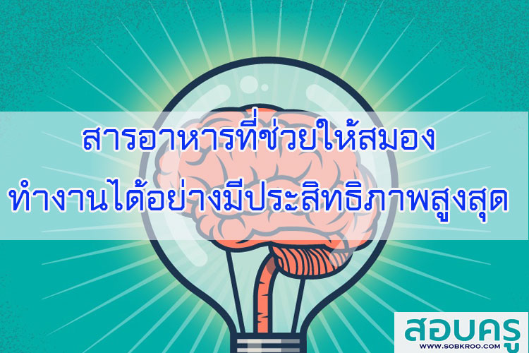 สารอาหารที่ช่วยให้สมองทำงานได้อย่างมีประสิทธิภาพสูงสุด