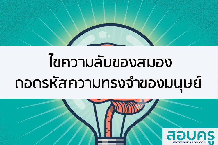 ไขความลับของสมอง ถอดรหัสความทรงจำของมนุษย์