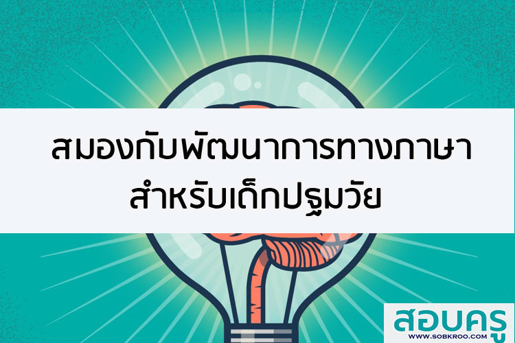 สมองกับพัฒนาการทางภาษาสำหรับเด็กปฐมวัย