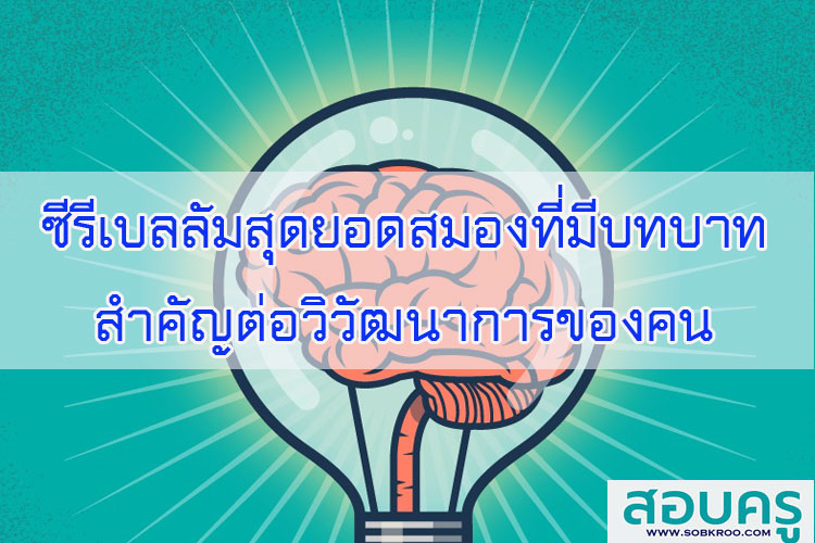 ซีรีเบลลัมสุดยอดสมองที่มีบทบาทสำคัญต่อวิวัฒนาการของคน