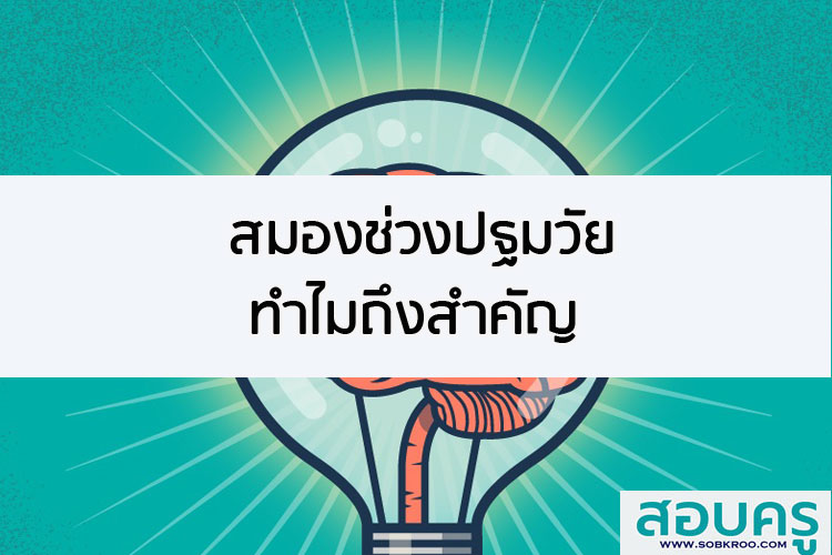 สมองช่วงปฐมวัยทำไมถึงสำคัญ