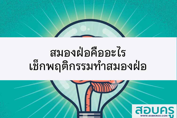 สมองฝ่อคืออะไร พร้อมเช็กพฤติกรรมทำสมองฝ่อ