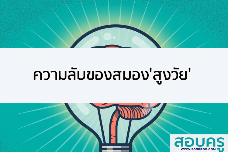 เปิดความลับของสมองสำหรับคนอายุมาก(สูงวัย)