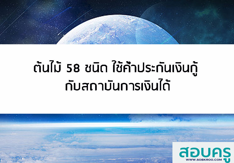 ต้นไม้ 58 ชนิด ใช้ค้ำประกันเงินกู้ กับสถาบันการเงินได้