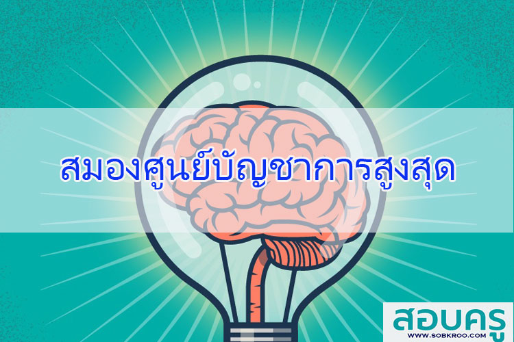 สมองศูนย์บัญชาการสูงสุด