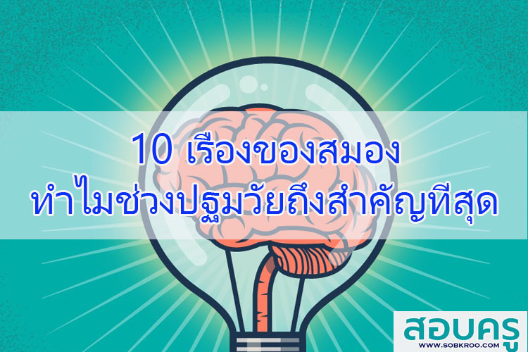 10 เรื่องของสมอง ทำไมช่วงปฐมวัยถึงสำคัญที่สุด