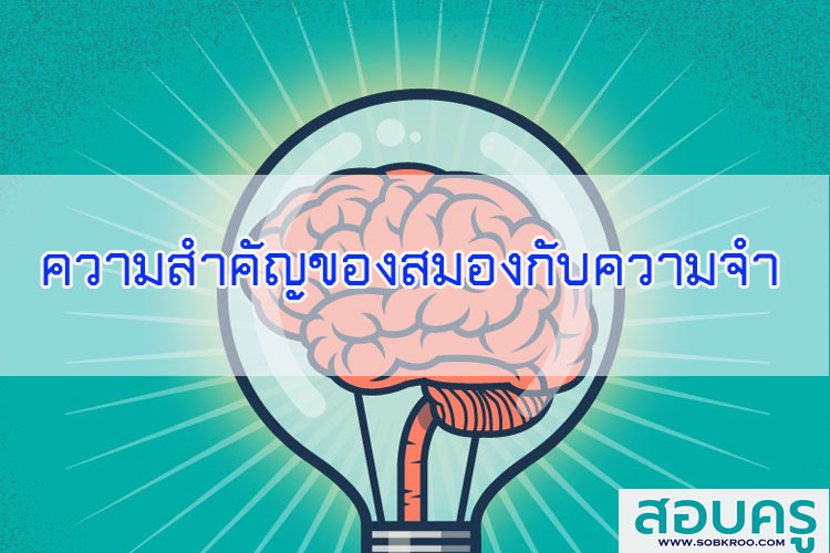 ความสำคัญของสมองกับความจำ