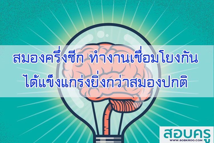 สมองครึ่งซีก ทำงานเชื่อมโยงกันได้แข็งแกร่งยิ่งกว่าสมองปกติ
