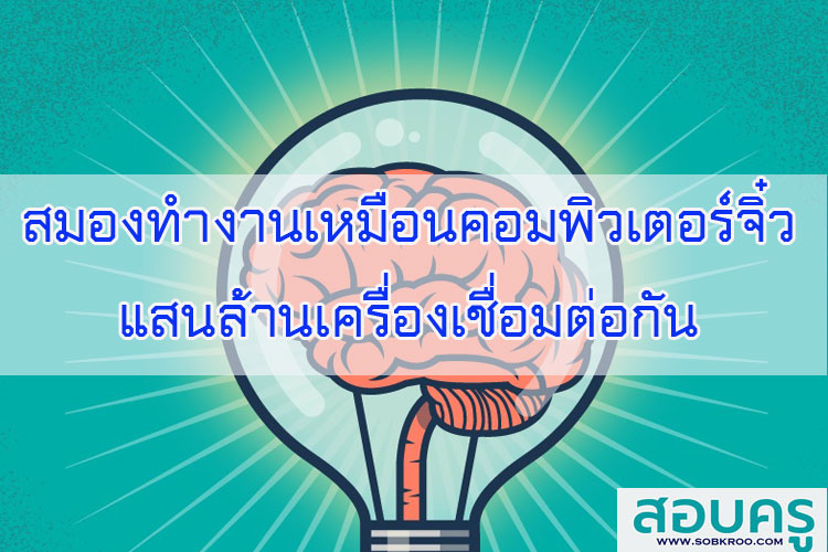 สมองมนุษย์ทำงานเหมือนคอมพิวเตอร์จิ๋วแสนล้านเครื่องเชื่อมต่อกัน
