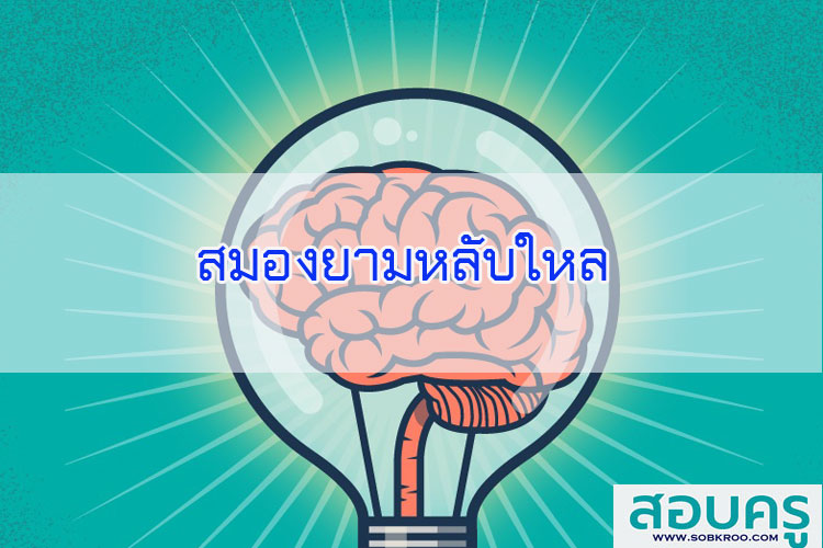 สมองยามหลับใหล