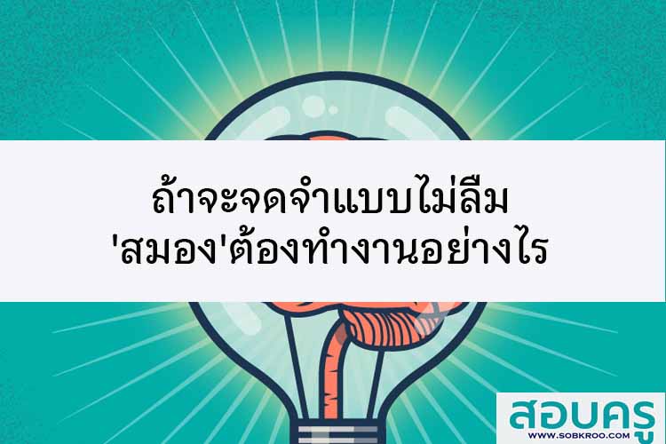 ถ้าจะจดจำแบบไม่ลืม 'สมอง'ต้องทำงานอย่างไร
