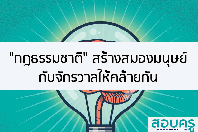 กฎธรรมชาติสร้างสมองมนุษย์กับจักรวาลให้คล้ายกัน