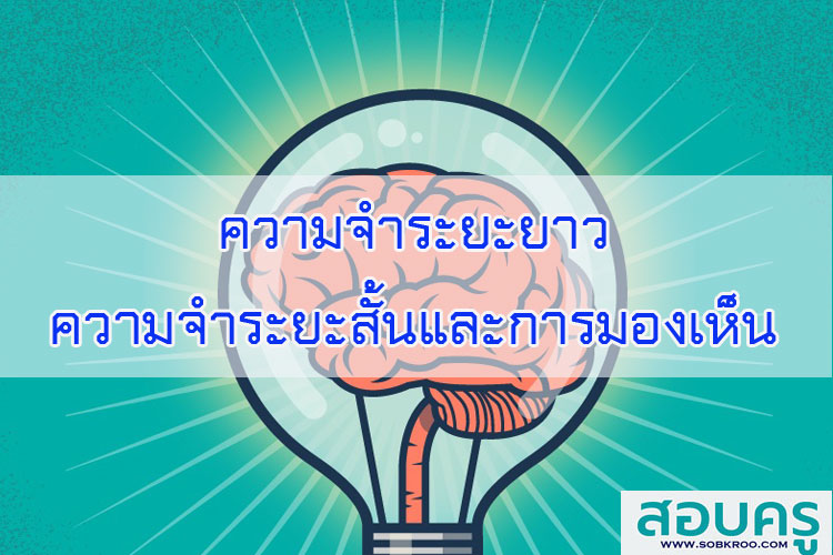 ความจำระยะยาว ความจำระยะสั้นและการมองเห็น