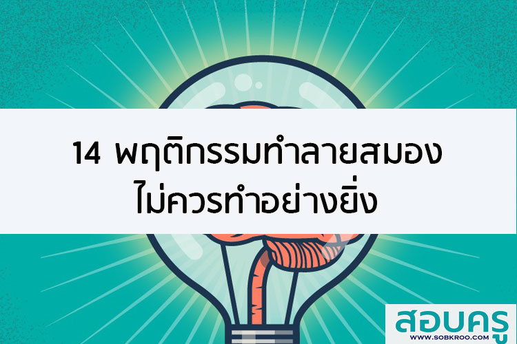14 พฤติกรรมทำลายสมอง หลีกเลี่ยงจะเป็นดี