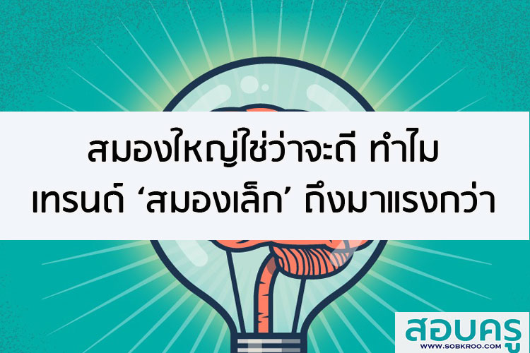 สมองใหญ่ใช่ว่าจะดี ทำไมเทรนด์ ‘สมองเล็ก’ ถึงมาแรงกว่า