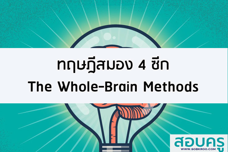ทฤษฎีสมอง 4 ซีก  The Whole-Brain Methods 