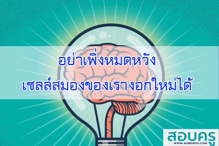 อย่าเพิ่งหมดหวัง เซลล์สมองของเรางอกใหม่ได้