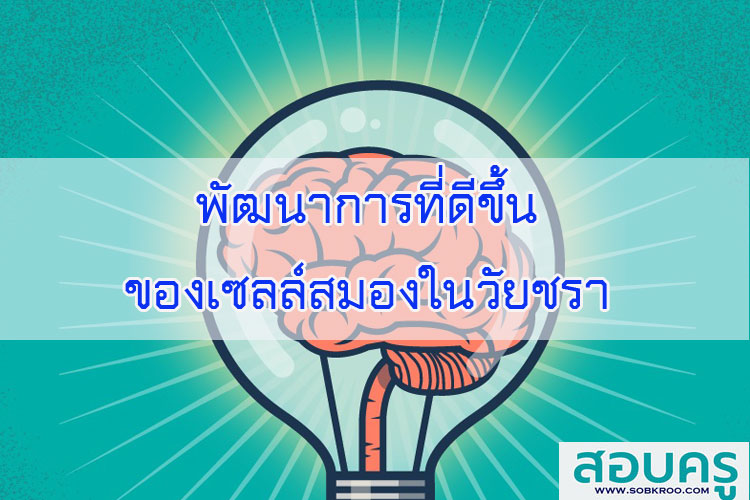 พัฒนาการที่ดีขึ้นของเซลล์สมองในวัยชรา