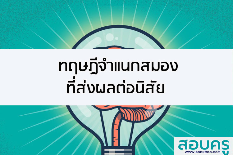 ทฤษฎีจำแนกสมองที่นักประสาทวิทยาบอกว่าส่งผลต่อนิสัย