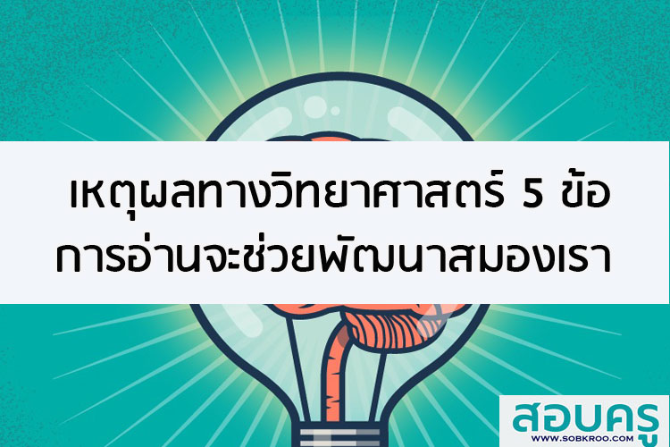 เหตุผล 5 ข้อที่การอ่านจะช่วยพัฒนาสมองของคุณ