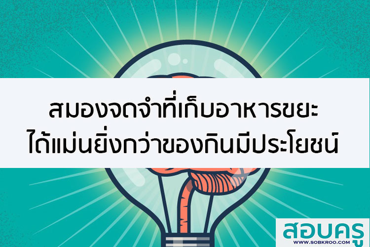 สมองจดจำที่เก็บอาหารขยะได้แม่นยิ่งกว่าของกินมีประโยชน์