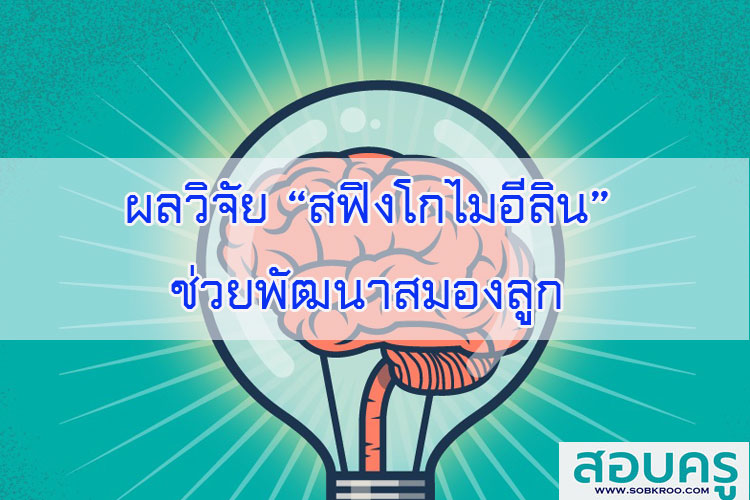 ผลวิจัยสฟิงโกไมอีลินช่วยพัฒนาสมองลูก