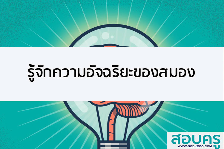 รู้จักความอัจฉริยะของสมอง